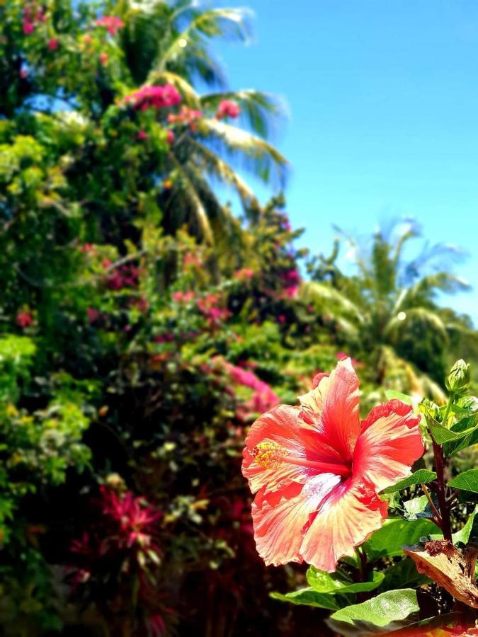 Gite 4 Etoiles, La Vieille Sucrerie St Claude Guadeloupe, Jacuzzi Spa Privatif, Vue Exceptionnelle Sur La Mer Des Caraibes バステール エクステリア 写真