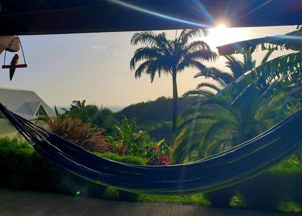 Gite 4 Etoiles, La Vieille Sucrerie St Claude Guadeloupe, Jacuzzi Spa Privatif, Vue Exceptionnelle Sur La Mer Des Caraibes バステール エクステリア 写真