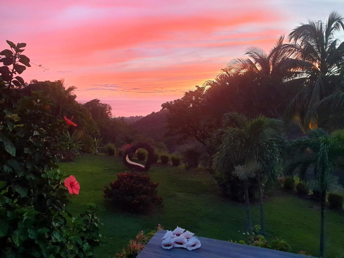 Gite 4 Etoiles, La Vieille Sucrerie St Claude Guadeloupe, Jacuzzi Spa Privatif, Vue Exceptionnelle Sur La Mer Des Caraibes バステール エクステリア 写真