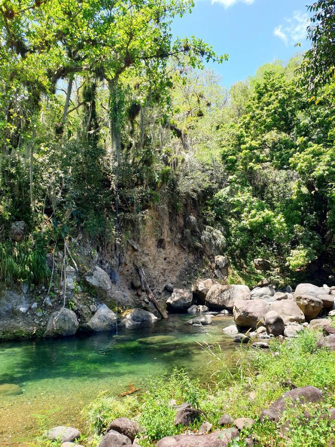 Gite 4 Etoiles, La Vieille Sucrerie St Claude Guadeloupe, Jacuzzi Spa Privatif, Vue Exceptionnelle Sur La Mer Des Caraibes バステール エクステリア 写真
