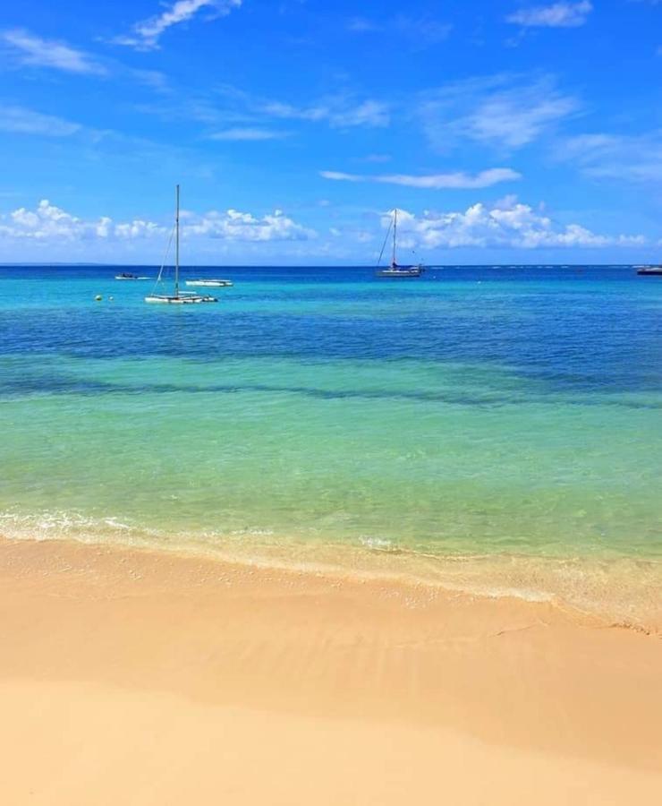 Gite 4 Etoiles, La Vieille Sucrerie St Claude Guadeloupe, Jacuzzi Spa Privatif, Vue Exceptionnelle Sur La Mer Des Caraibes バステール エクステリア 写真
