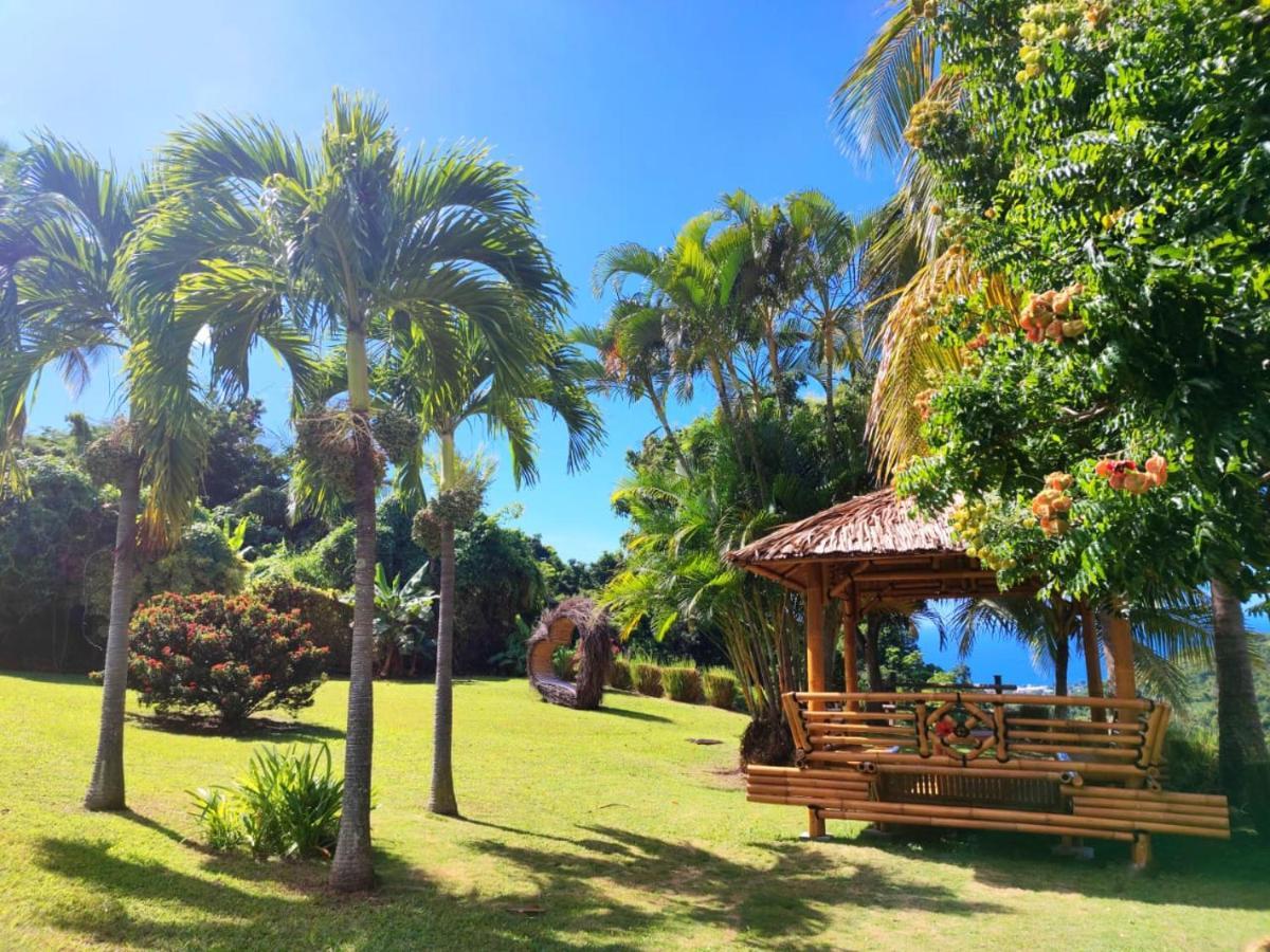 Gite 4 Etoiles, La Vieille Sucrerie St Claude Guadeloupe, Jacuzzi Spa Privatif, Vue Exceptionnelle Sur La Mer Des Caraibes バステール エクステリア 写真