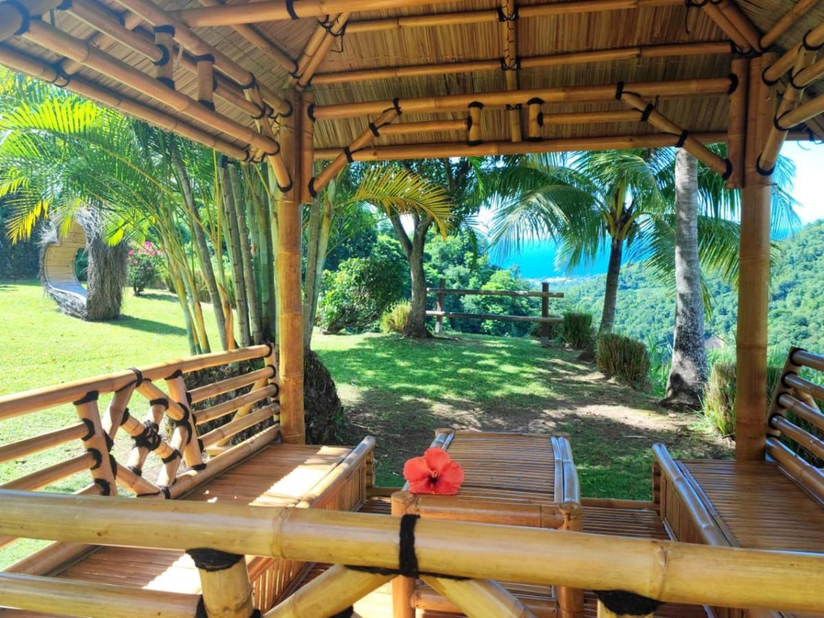 Gite 4 Etoiles, La Vieille Sucrerie St Claude Guadeloupe, Jacuzzi Spa Privatif, Vue Exceptionnelle Sur La Mer Des Caraibes バステール エクステリア 写真