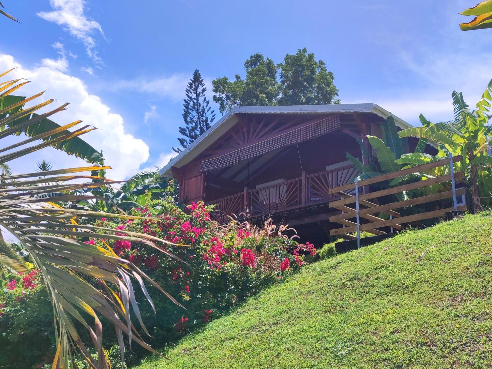 Gite 4 Etoiles, La Vieille Sucrerie St Claude Guadeloupe, Jacuzzi Spa Privatif, Vue Exceptionnelle Sur La Mer Des Caraibes バステール エクステリア 写真