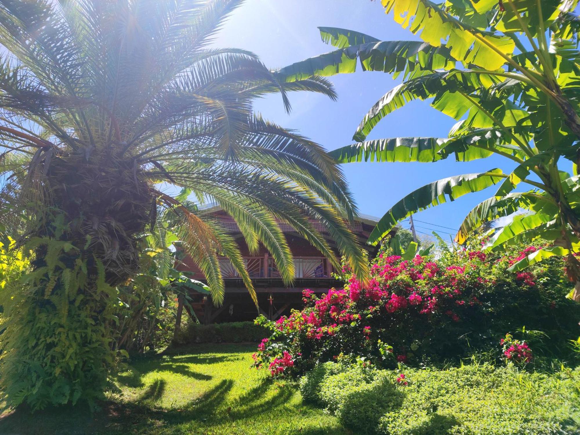Gite 4 Etoiles, La Vieille Sucrerie St Claude Guadeloupe, Jacuzzi Spa Privatif, Vue Exceptionnelle Sur La Mer Des Caraibes バステール エクステリア 写真