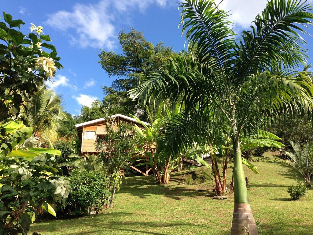 Gite 4 Etoiles, La Vieille Sucrerie St Claude Guadeloupe, Jacuzzi Spa Privatif, Vue Exceptionnelle Sur La Mer Des Caraibes バステール エクステリア 写真